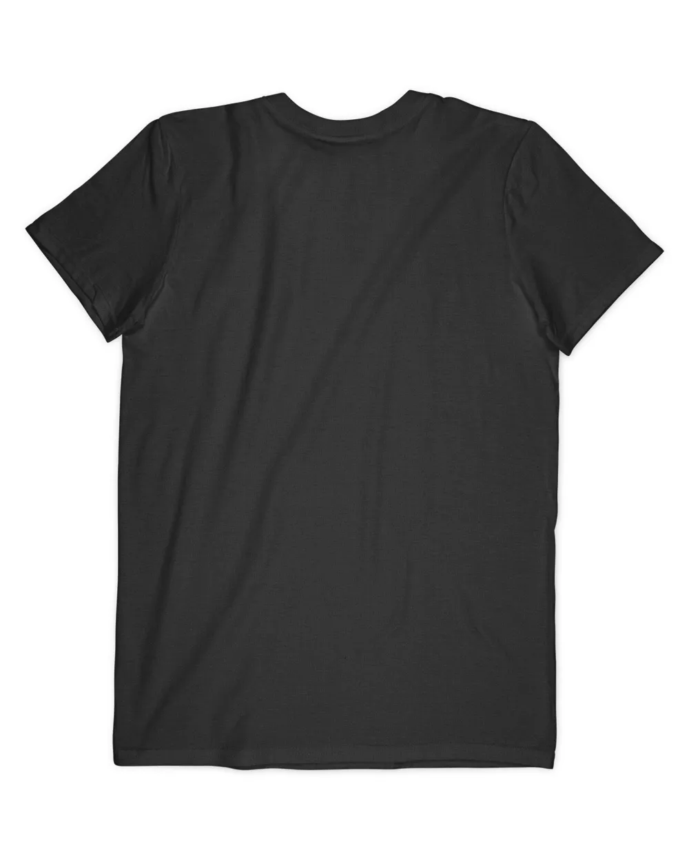 Mens Dad of the Birthday Princess Girl Tee for Father Daddy Papa T-Shirt Men's V-Neck T-Shirt black s
