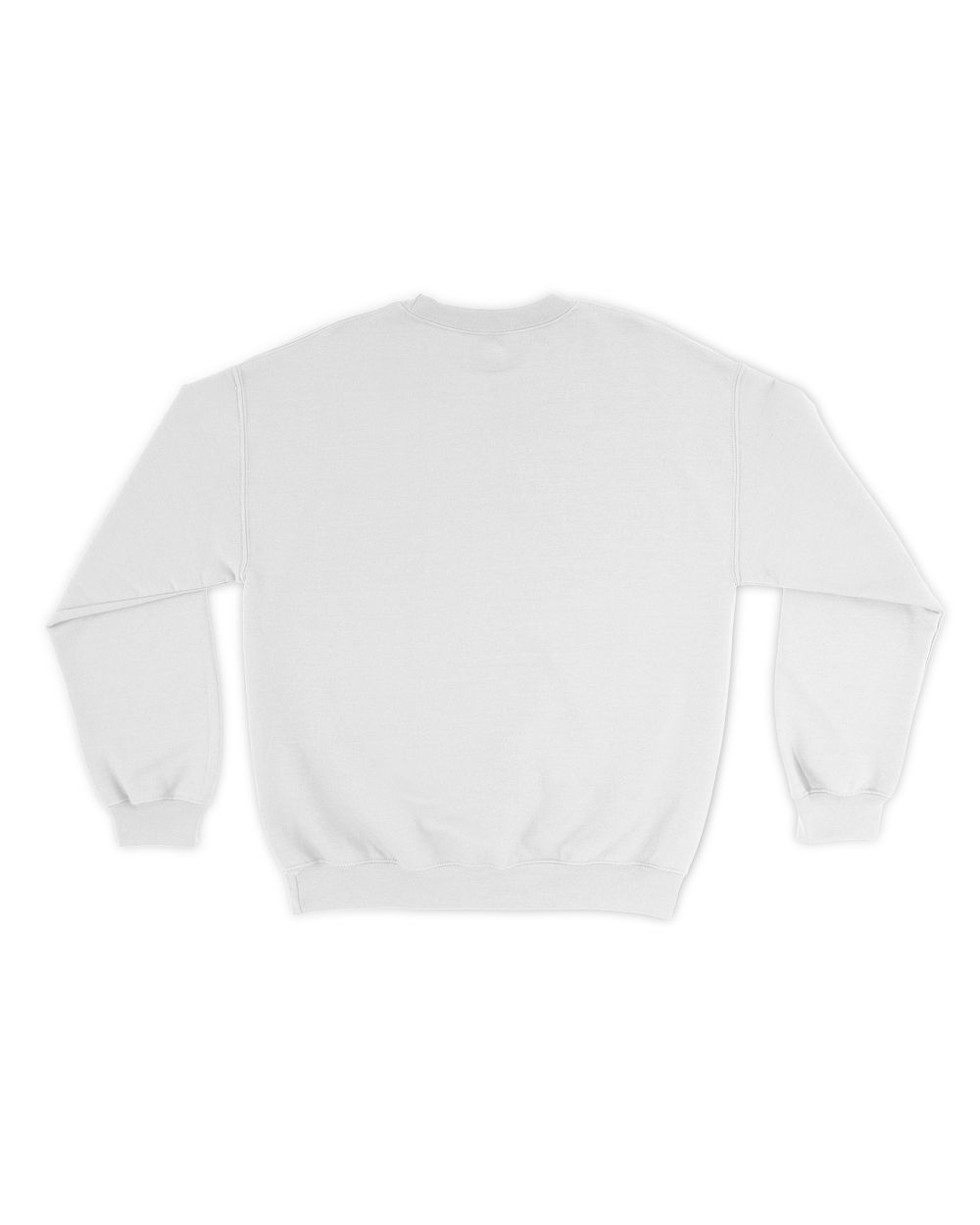 Surely Not Everybody Was Kung Fu Fighting Hoodie Sweatshirt Unisex Sweatshirt white s