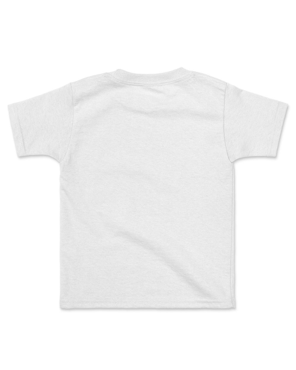 Surely Not Everybody Was Kung Fu Fighting T Shirt Kids Standard T-Shirt white xs